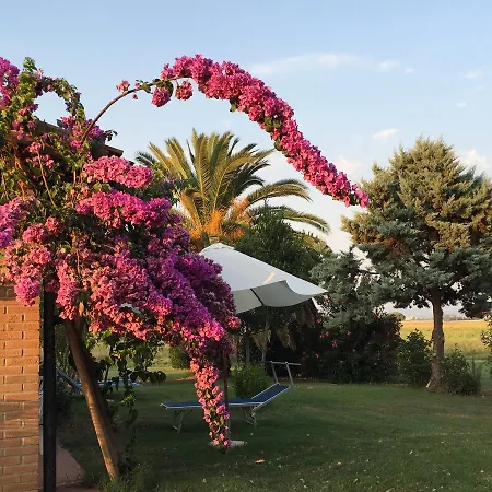 Mare Etrusco Holiday home